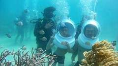 Phục hồi rạn san hô, phát triển du lịch biển