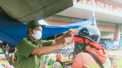 Nỗ lực giữ “vùng xanh” nơi vùng cao An Lão