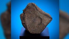 Khối thiên thạch hơn 100 triệu năm tuổi được đưa ra trưng bày