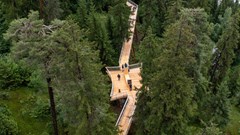 Khám phá con đường “trên cây” dài nhất thế giới tại Thụy Sĩ