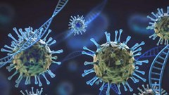 Biến thể Mu xuất hiện tại 49 bang của Mỹ