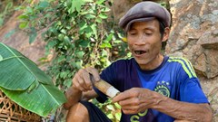 “Người rừng” Hồ Văn Lang qua đời