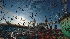 11 tác phẩm đoạt giải cuộc thi ảnh nghệ thuật "Sắc màu Bình Thuận" 2021