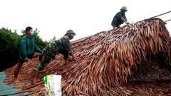 Đội mưa giúp đồng bào chằng chống nhà cửa phòng, chống bão số 5