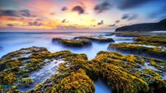 Bình Định: Một nhiếp ảnh gia đoạt Huy chương Đồng cuộc thi nhiếp ảnh quốc tế