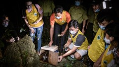 Tái thả động vật hoang dã về tự nhiên trong đêm Trung thu