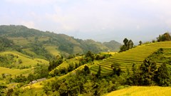 Tả Sử Choóng mùa vàng no ấm