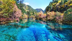 7 khu rừng ấn tượng " đẹp hút hồn" du khách trên thế giới