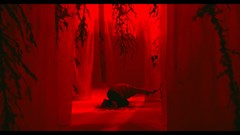 "Miền ký ức" tranh giải tại LHP Busan 2021