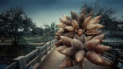 Người bán đó của Lý Hoàng Long đoạt giải ảnh quốc tế