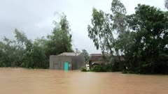 Hàng nghìn hộ dân vẫn bị ngập, nhiều xã bị cô lập trong biển nước