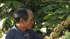 Câu chuyện xúc động vể một cuộc đời được làm lại