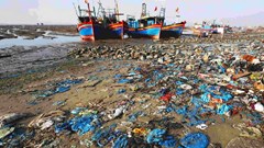 Để hạn chế các sản phẩm nhựa dùng một lần