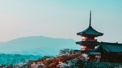 Nhật Bản, Australia lên kế hoạch đón khách du lịch quốc tế