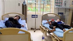 Lào Cai: 17 học sinh ngộ độc do ăn quả hồng châu, một trẻ tử vong