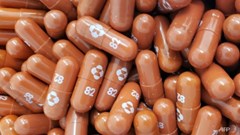 Australia mua 300.000 liều Molnupiravir để điều trị cho bệnh nhân Covid-19