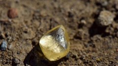 Du khách tìm thấy viên kim cương trị giá gần 700 triệu khi đi chơi