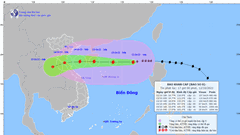 Tập trung ứng phó với bão số 8 và mưa lũ sau bão
