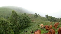 Đổi mới chính sách giảm nghèo, khơi dậy khát vọng xây dựng cuộc sống ấm no của người dân