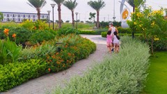 Hàng loạt nhà đầu tư khởi động kế hoạch “xuống tiền” tại bất động sản vùng ven