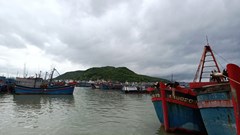 Khánh Hòa: Khẩn trương ứng phó với áp thấp nhiệt đới mạnh lên thành bão số 9