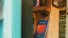 Giỏ trái cây - Cuốn sách viết về tình người trong tâm dịch