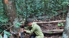 Bảo vệ động vật quý hiếm ở Vườn quốc gia Bạch Mã