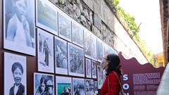 Những đóa hoa nở giữa phong ba