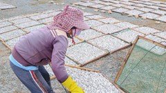 Ninh Thuận:  Làng cá hấp Thanh Hải rộn ràng trở lại