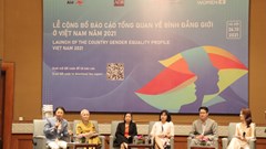 Cần đẩy nhanh tiến độ thực hiện bình đẳng giới