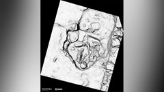 Phát hiện nhiều cổ vật của người Maya dọc tuyến đường xây dựng xe lửa ở Mexico