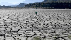 Hơn 200 nhà khoa học kêu gọi khẩn cấp ngăn sự nóng lên toàn cầu