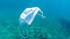 Đại dương đang phải hứng chịu 28.000 tấn rác thải do Covid-19