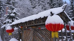 Cảnh đẹp như mơ ở thị trấn tuyết phủ dày