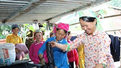 Giữ gìn nghề trồng chàm nhuộm vải của người Xuồng ở Thăm Noong