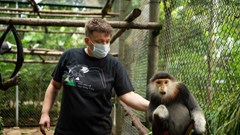 Cúc Phương, kho báu thuở hồng hoang (Bài 1): "Cổ tích" dưới tán rừng già