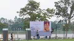 Chờ đón "bữa tiệc" đầy màu sắc