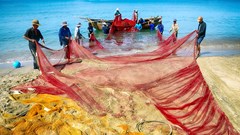 Việt Nam qua ống kính nhiếp ảnh gia quốc tế