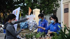 Đổi rác thải lấy cây xanh