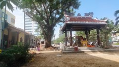 Mở rộng khuôn viên nghĩa chủng Phước Ninh