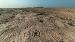 Giải mã bức chạm khắc "bí ẩn" trên sa mạc tại Qatar