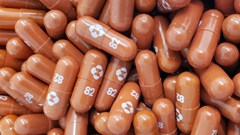 Chuyên gia của FDA Mỹ khuyến nghị sử dụng thuốc Molnupiravir