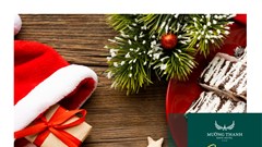 Đón Giáng sinh “Ấm & Yêu” thắp sáng hạnh phúc cùng Tập đoàn Mường Thanh