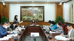 Góp ý  Dự thảo Luật Phòng, chống bạo lực gia đình (sửa đổi): “Không thể đèn nhà ai nhà nấy rạng”