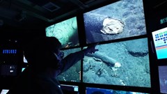 Trục vớt thành công ngà voi ma mút 100.000 năm tuổi