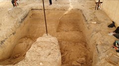 Hóa thạch 10.000 năm tuổi của voi ma mút được tìm thấy tại Mexico