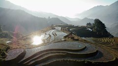 Vẻ đẹp ngoạn mục của ruộng bậc thang Mù Cang Chải lên báo Pháp