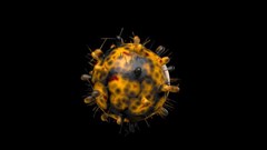 Phân tích thành công nhiều đột biến của biến thể Omicron