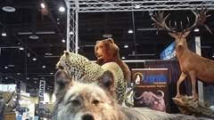 Anh ra dự luật cấm nhập khẩu động vật săn bắt có nguy cơ tuyệt chủng