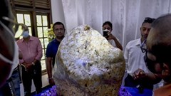 Đào được viên sapphire quý hiếm 310kg lớn nhất thế giới